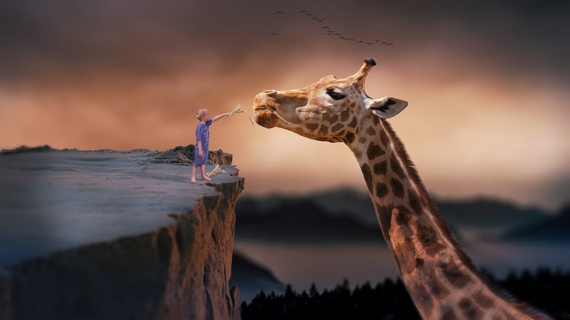 Dreams Image